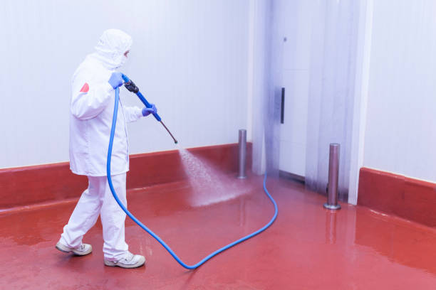 Best Building Exterior Washing  in Polson, MT
